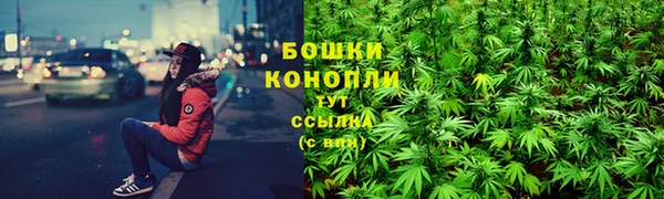 гидропоника Алзамай